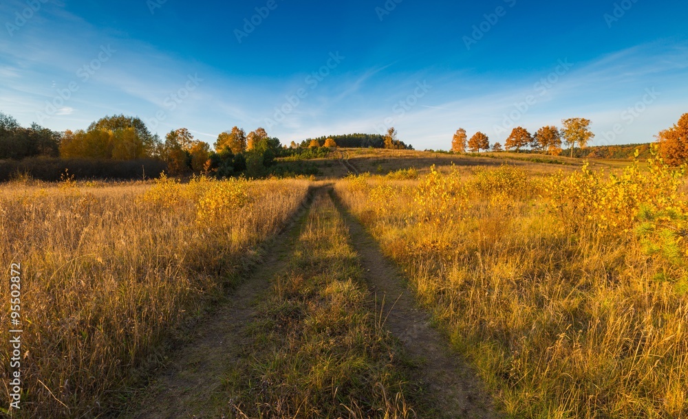 Obraz premium Beautiful autumnal landscape with grassland, trees and road