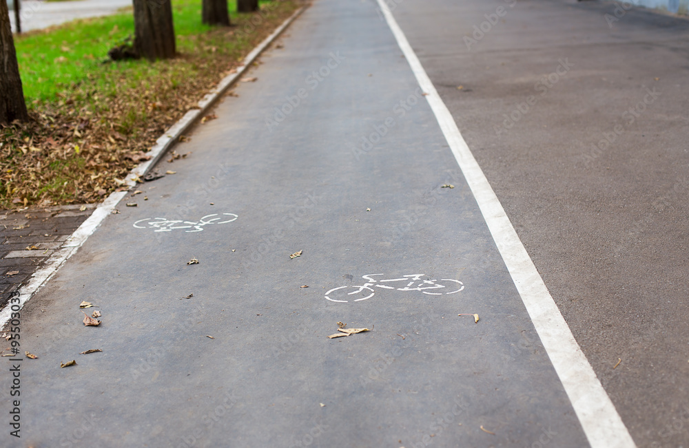 Bicycle lane in autumn