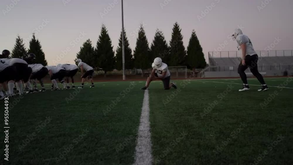 A football player kicks the ball through the goal posts and the team cheers
A football player kicks the ball through the goal posts and the team cheers