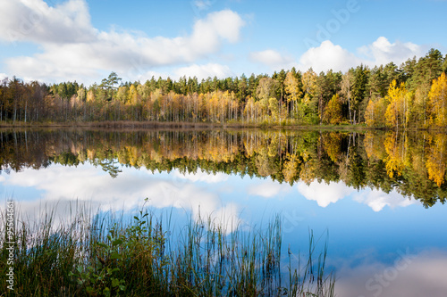 Fototapeta Naklejka Na Ścianę i Meble -  Reflection of autumn colored trees in the lake