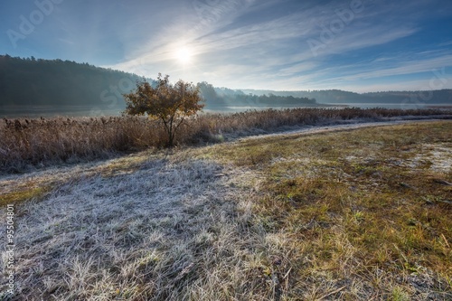 Autumnal cold morning on meadow with hoarfrost