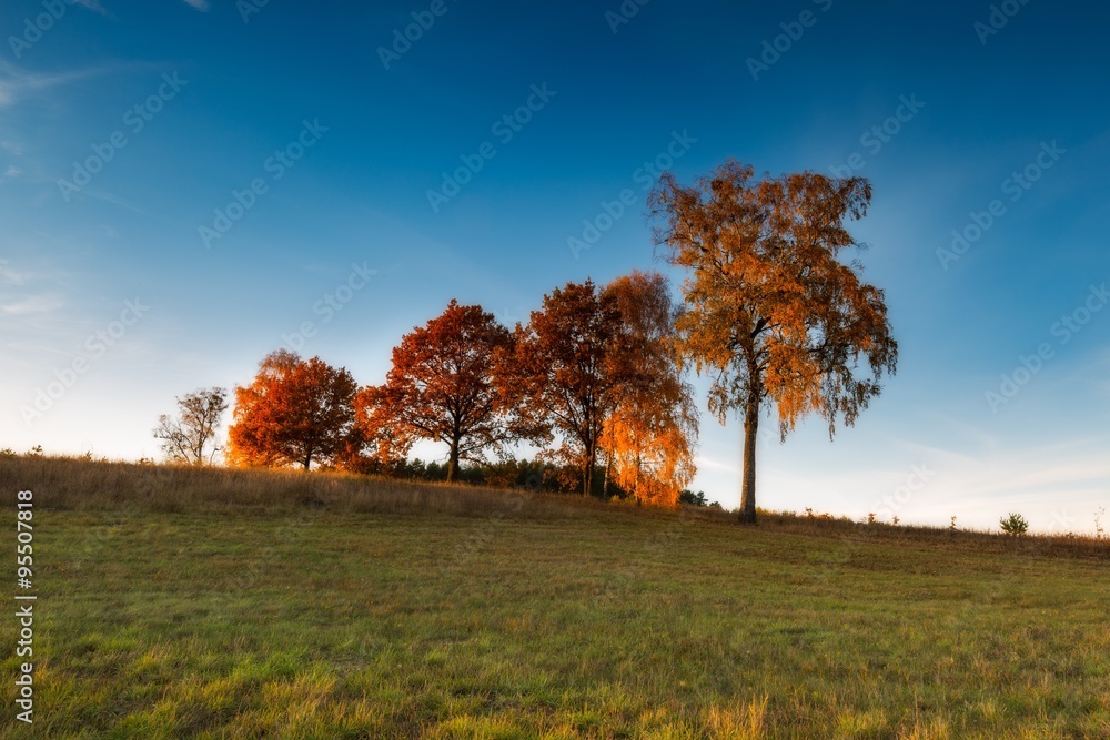 Autumnal landscape with countryside at sunset Autumnal landscape with countryside at sunset