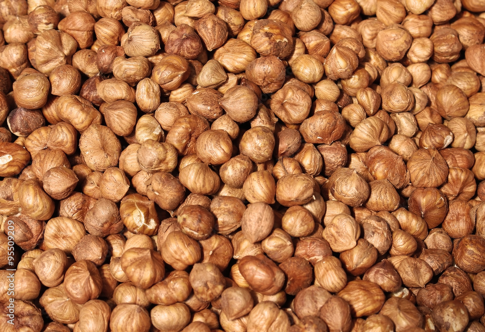 Raw hazelnuts Raw hazelnuts