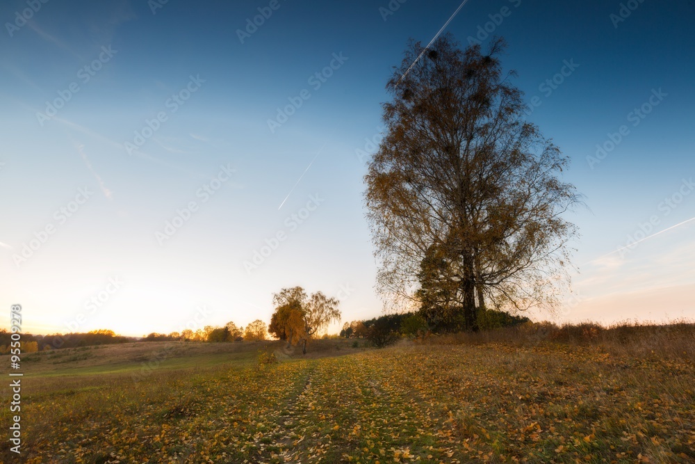 Autumnal landscape with countryside at sunset