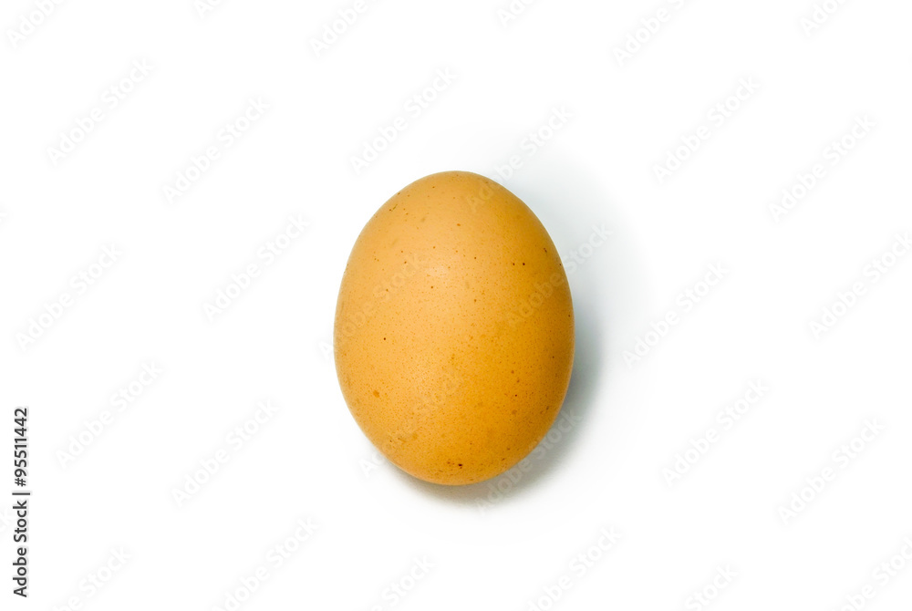 Single chicken or egg. Single chicken or egg.