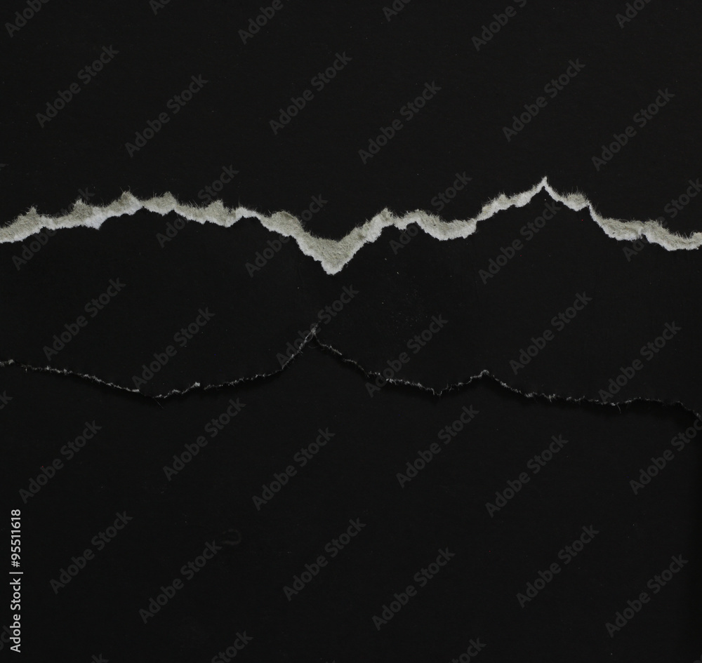 Fototapeta premium Ripped paper, space for copy