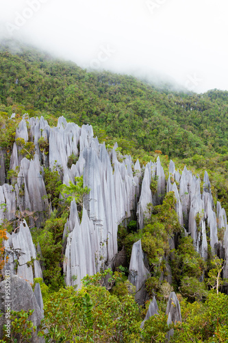 Limestone pinnacles at gunung mulu national park