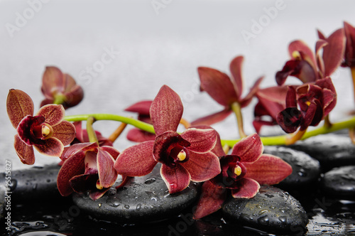 Set of branch red orchid with therapy stones  photo