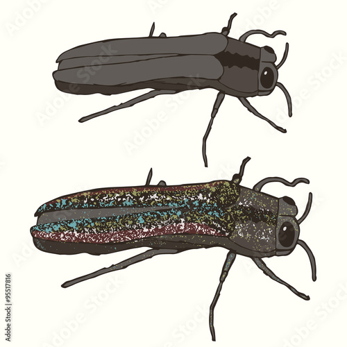 The Emerald Ash Borer: Eating and Bringing Death to Your Mountain Ash Trees Since the 90s. These Insects Eat the Leaves, Burrow into the Bark, and Critically Maim and Destroy Your Poor Ash Trees.