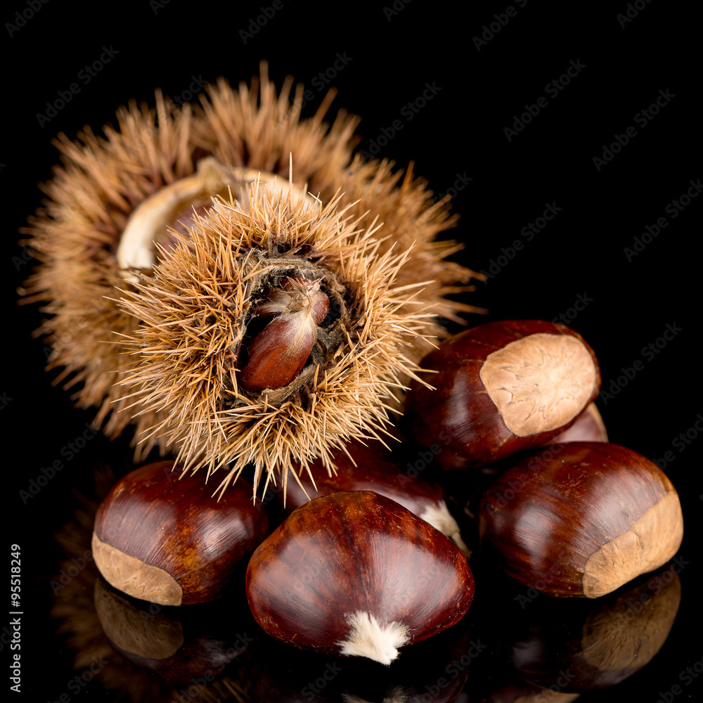 Chestnuts on a black reflective background Chestnuts on a black reflective background