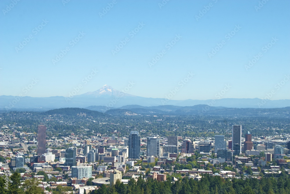 Obraz premium Portland, Oregon skyline