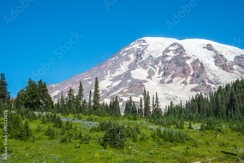 Snowy Mountain Peak  Wildflower Evergreen Forest Blue Sky. Copy Space.