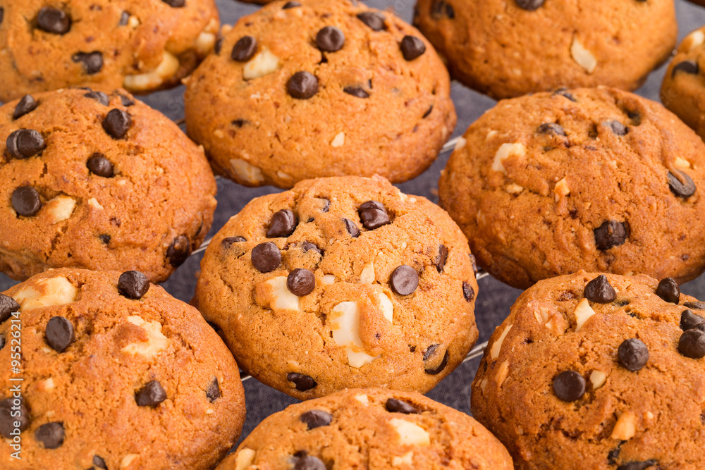 Golden brown, chocolate chip cookies cooling on a rack. Golden brown, chocolate chip cookies cooling on a rack.