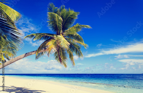 tropical sand beach with palm trees