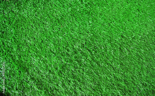 Grass background