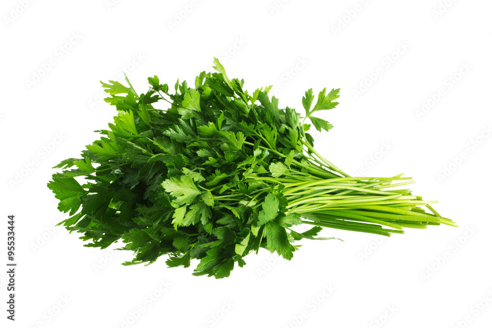 Bunch of fresh green parsley. Isolated on white background Bunch of fresh green parsley. Isolated on white background