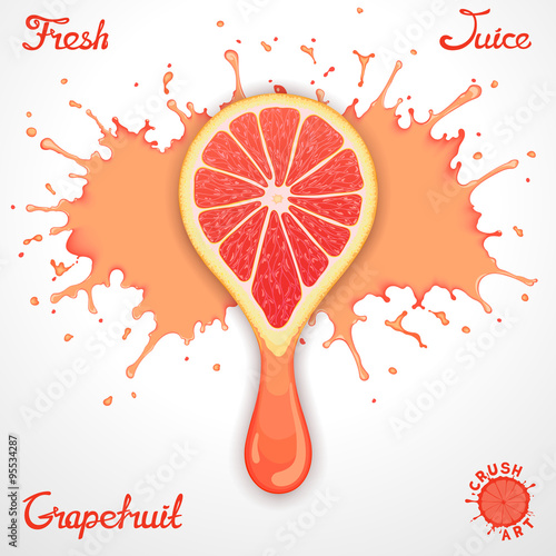 Vector grapefruit juice splash with stylized crush slice