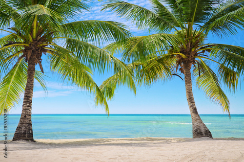 Palm trees on the background of a beautiful carribean sea © Gerisima