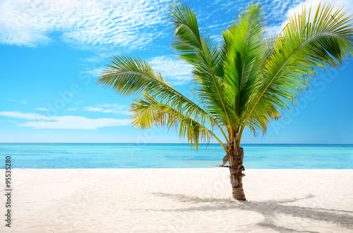 Exotic beach and coconut palm tree Saona Island  Dominican Repub