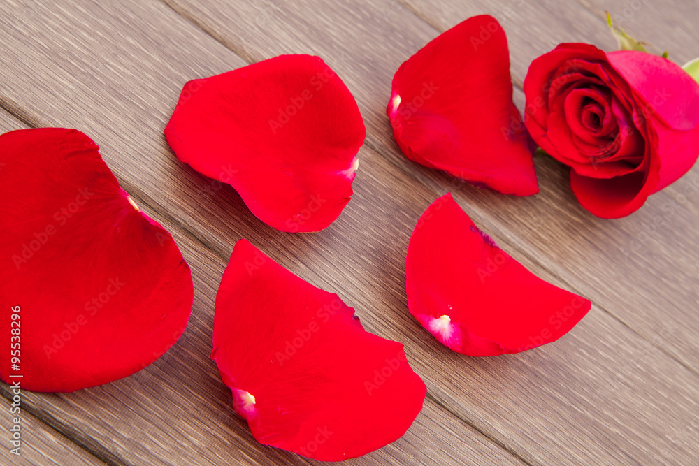 Fototapeta premium Red rose petals