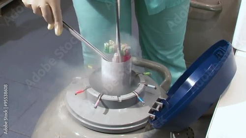 Fertility doctor with a microscope, a syringe and petri dish fertilization of eggs and research in reproduction clinics. Storing frozen eggs and sperm in a box filled with liquid nitrogen. photo