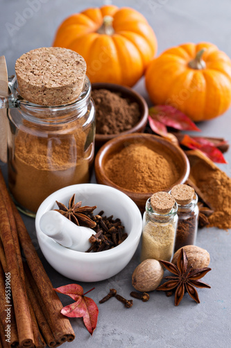 Homemade mix of spices in a jar © fahrwasser