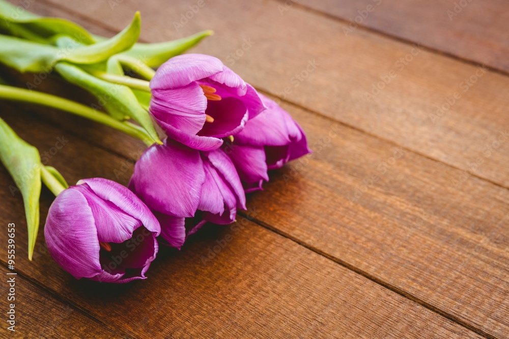 Few beautiful purple flower against wood plank Few beautiful purple flower against wood plank