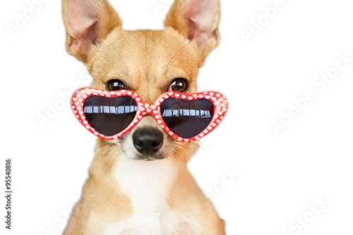Cute dog with heart sunglasses © WavebreakMediaMicro