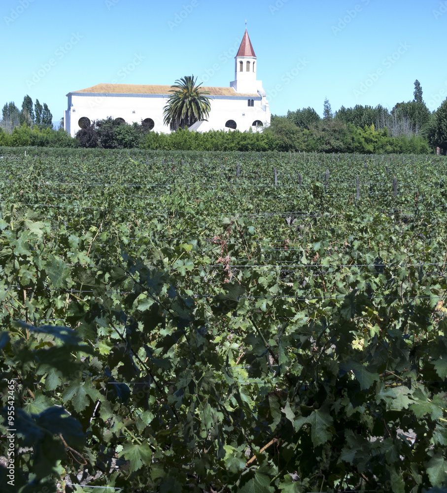 Wine industry in Chile