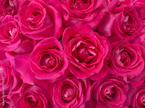 Deep pink roses bouquet background