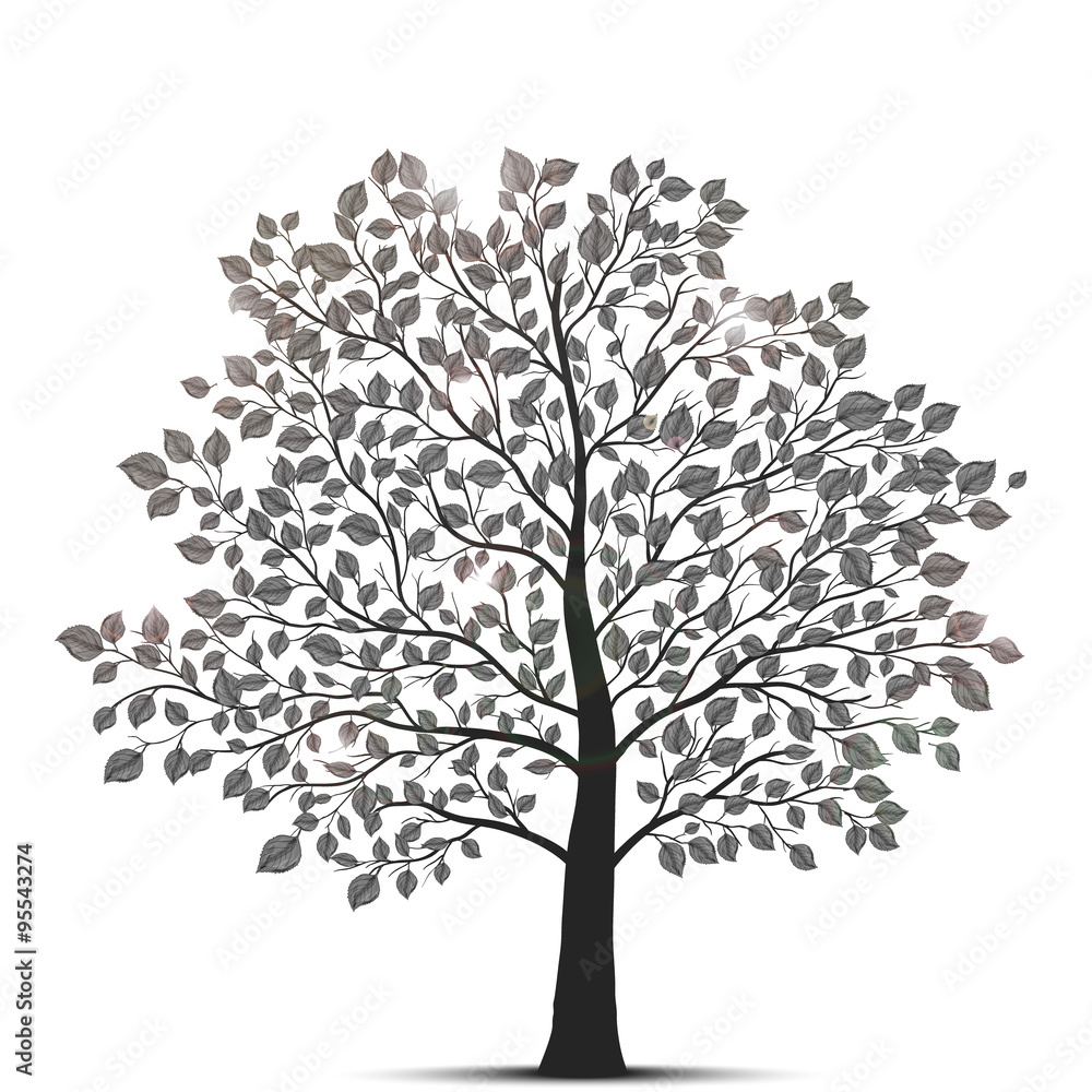 Fototapeta premium tree isolated