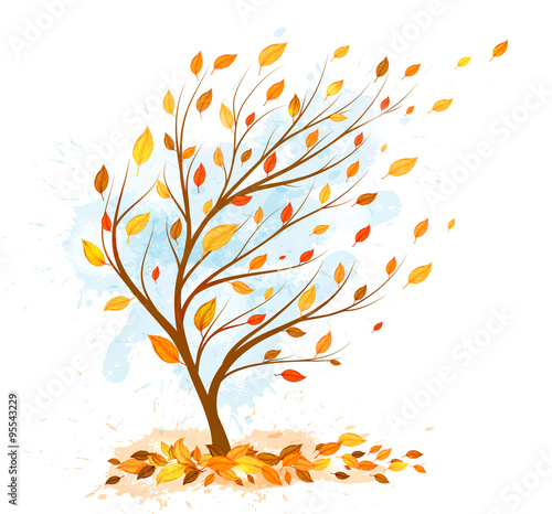 autumn tree