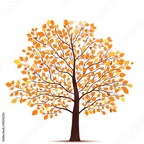 autumn tree