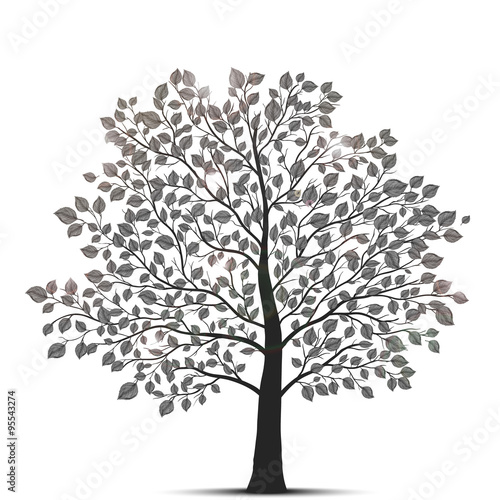 tree isolated
