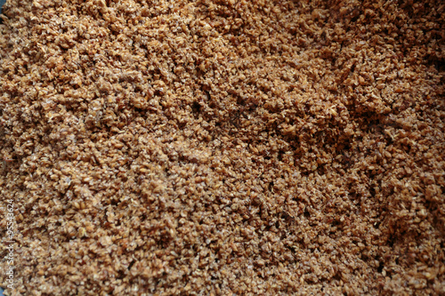 Malt Grain for Beer Making at Brewery
