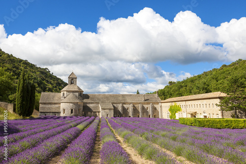 Abbey of Senanque and blooming rows lavender flowers