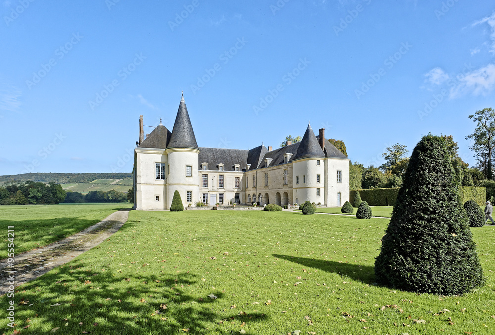 Château de Condé-en-Brie 4