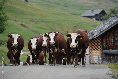 Le Reblochon d'Alpage