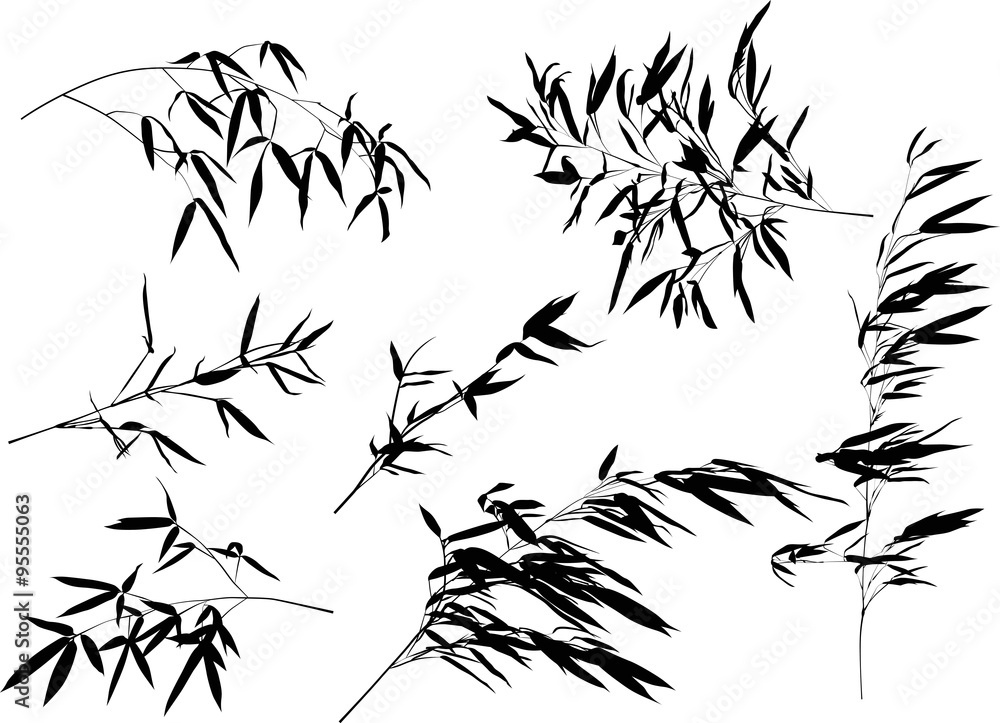 Fototapeta premium seven black bamboo branches set illustration