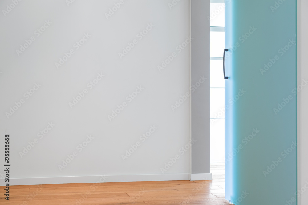 Obraz premium Hallway with glass door, modern home