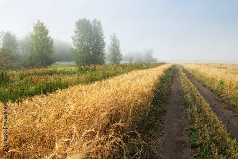 Obraz premium Road in field
