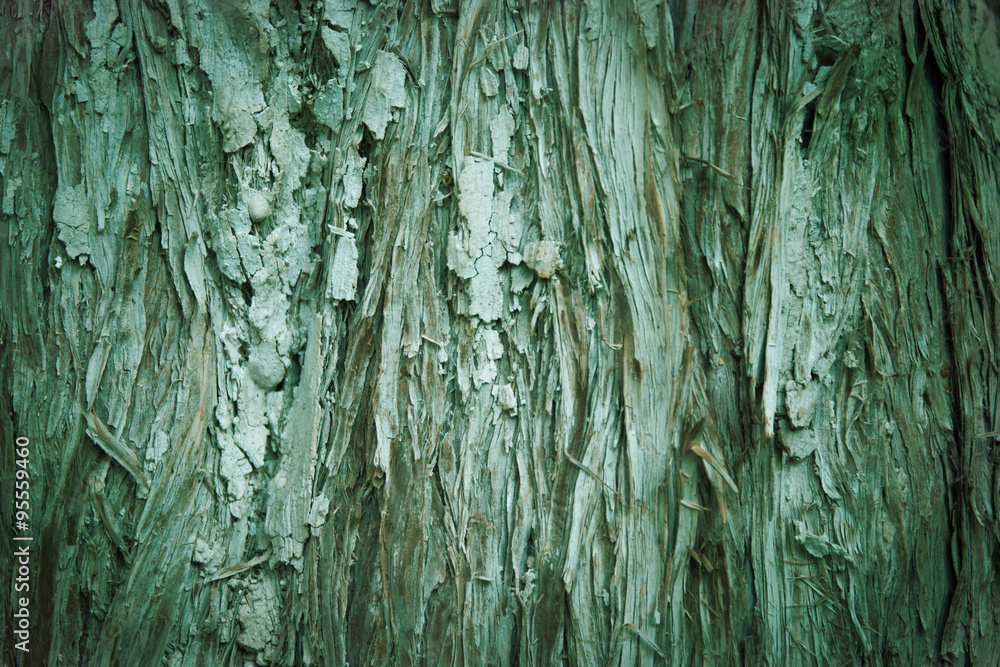 Obraz premium wood background