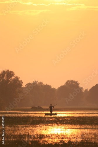 Man in boat rowing, in flooded land, during golden sunset