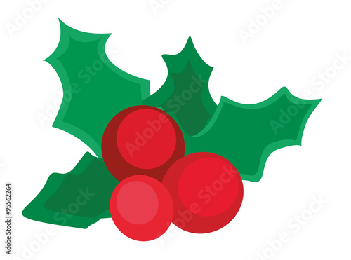 Mistelzweig Mistletoe