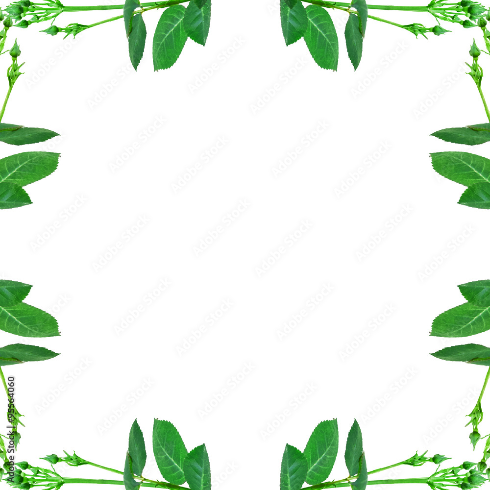 Floral Decorative Frame Background