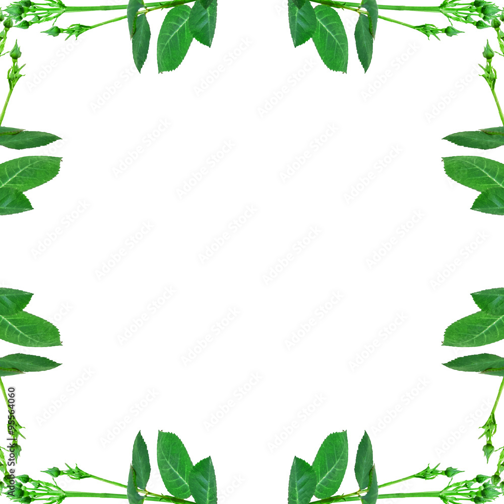 Floral Decorative Frame Background Floral Decorative Frame Background