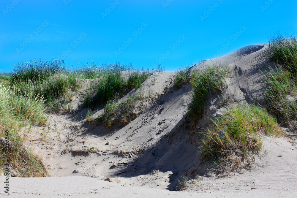 dunes of the North Sea.