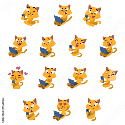 Yellow cats using social networks