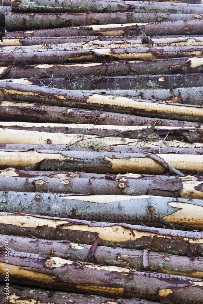 Timber Stack