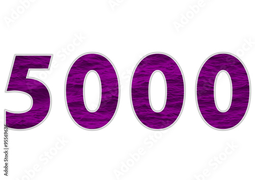 5000 sayısı